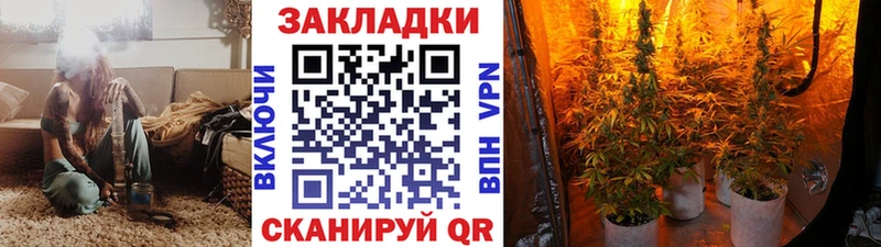 Магазины продажи наркотиков Волосово СК  Мефедрон  Гашиш  COCAIN 