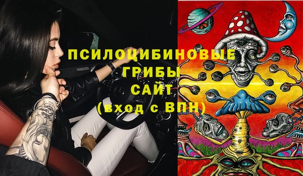 МДМА Богородицк
