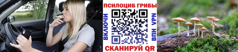 Галлюциногенные грибы Cubensis  купить закладку  Волосово 