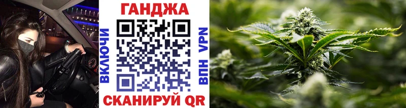Шишки марихуана тримм  OMG ССЫЛКА  Волосово  купить наркотик 